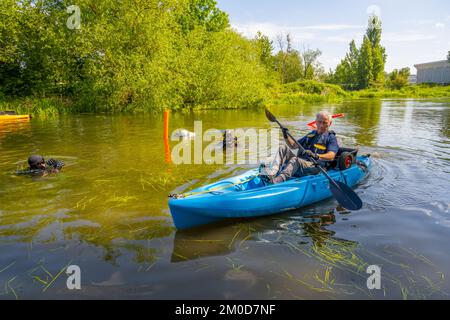 Taucher, die eine Flussreinigung an den Flüssen Chelmer und Can in Chelmsford Essex durchführen Stockfoto