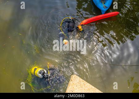 Taucher, die eine Flussreinigung an den Flüssen Chelmer und Can in Chelmsford Essex durchführen Stockfoto