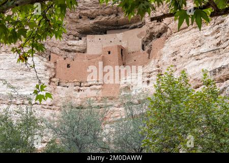 Montezuma Castle, Montezuma NM, Hochhaus der Ureinwohner Amerikas, Arizona, USA, Oktober, von Dominique Braud/Dembinsky Photo Assoc Stockfoto