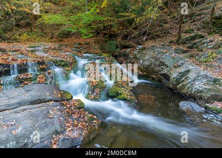 Wasserfall, Herbstfarben, Laurel Creek. Great Smoky Mountains National Park, TN, USA, Ende Oktober, von Dominique Braud/Dembinsky Photo Assoc Stockfoto