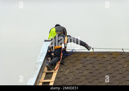 Der Reparaturleiter klettert eine Leiter hoch, während er das Dach repariert Stockfoto