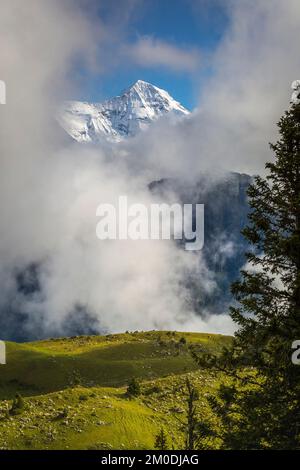 Nebeliger Berg über Grindelwald, schneebedeckte Berner Schweizer alpen, Schweiz Stockfoto