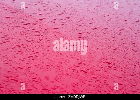 Wassertropfen von Regen auf einer roten Metallhaube eines Autos. Regentropfen auf roter Motorhaube. Selektiver Fokus Stockfoto