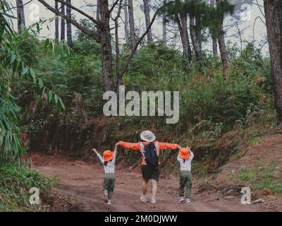 Glückliche junge Frau mit ihrer Tochter, die zusammen in die Berge spaziert. Eine Familie auf einer Wanderung durch den Wald. Eltern unterrichten Stockfoto