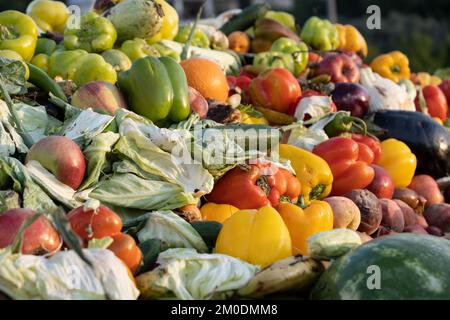 Bioabfall von abgelaufenem Gemüse in einem riesigen Behälter, organische Mischung in einem Abfalleimer. Komposthaufen aus Gemüse oder Tierfutter. Stockfoto