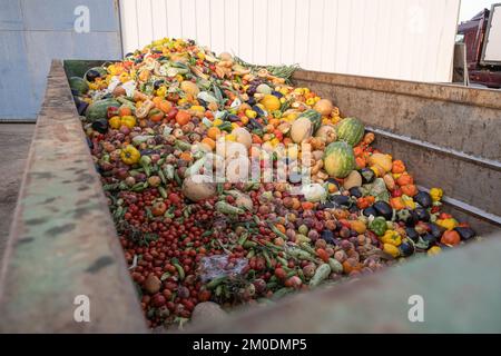 Bioabfall von abgelaufenem Gemüse in einem riesigen Behälter, organische Mischung in einem Abfalleimer. Komposthaufen aus Gemüse oder Tierfutter. Stockfoto