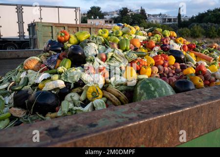 Bioabfall von abgelaufenem Gemüse in einem riesigen Behälter, organische Mischung in einem Abfalleimer. Komposthaufen aus Gemüse oder Tierfutter. Stockfoto