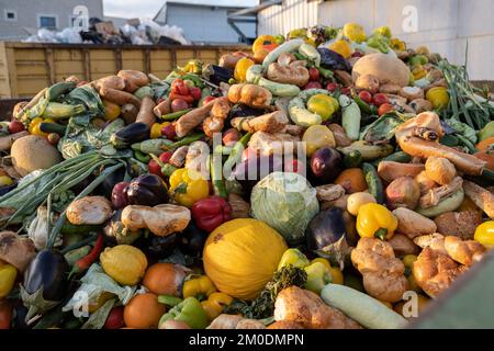 Bioabfall von abgelaufenem Gemüse in einem riesigen Behälter, organische Mischung in einem Abfalleimer. Komposthaufen aus Gemüse oder Tierfutter. Stockfoto