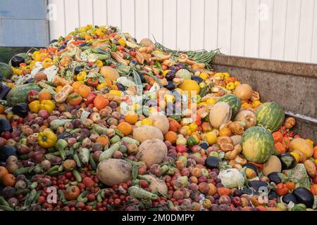 Bioabfall von abgelaufenem Gemüse in einem riesigen Behälter, organische Mischung in einem Abfalleimer. Komposthaufen aus Gemüse oder Tierfutter. Stockfoto