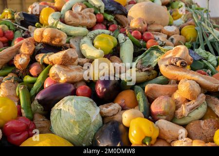 Bioabfall von abgelaufenem Gemüse in einem riesigen Behälter, organische Mischung in einem Abfalleimer. Komposthaufen aus Gemüse oder Tierfutter. Stockfoto