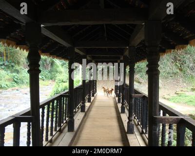 Die Holzbrücke von Bogoda wurde im 16.. Jahrhundert während der Dambadeniya-Ära erbaut. Dies soll die älteste noch existierende Holzbrücke in Sri Lanka sein. Stockfoto