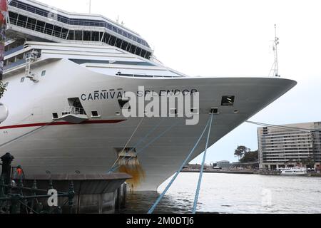 Kreuzfahrtschiff mit Karneval-Pracht am Overseas Passenger Terminal in Sydney, Australien Stockfoto