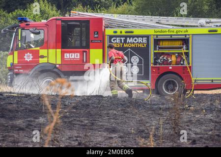 London, Großbritannien. 14.. Aug. 2022. Ein Feuerwehrmann der Londoner Feuerwehr löscht einen Grasbrand auf einem Feld. (Foto: Vuk Valcic/SOPA Images/Sipa USA) Guthaben: SIPA USA/Alamy Live News Stockfoto