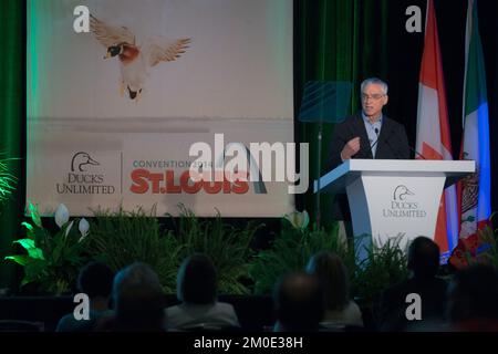 Büro des stellvertretenden Verwaltungsrats - Enten unbegrenzt, Umweltschutzbehörde Stockfoto