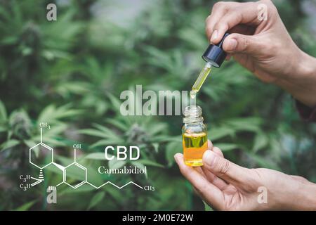 Tropfen Cannabisöl in einer Glasflasche. Für die Behandlung verwendeter CBD-Extrakt. Alternativmedizin. Hanföl. Biomedizin und Ökologie, Cannabispflanzen, er Stockfoto