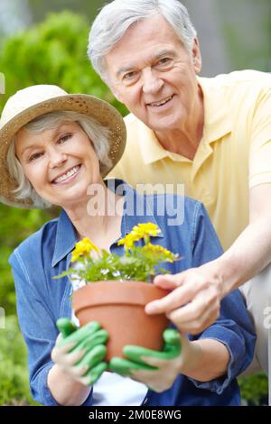 Gärtnern bringt uns näher. Portrait eines glücklichen Seniorenpaares, das zusammen gärtnert. Stockfoto