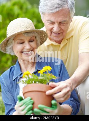 Deine Blumen sehen großartig aus. Eine reizende ältere Frau, die ihrem Mann ihre Blumen im Garten zeigt. Stockfoto
