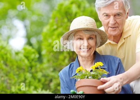 Gartenarbeit ist eine große Leidenschaft für sie. Portrait eines glücklichen Seniorenpaares, das zusammen gärtnert - Kopierraum. Stockfoto