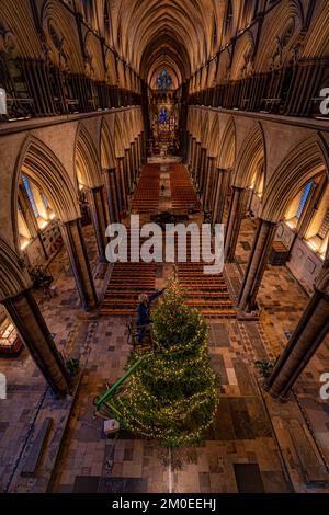 Richard Pike, der kirchliche Schreiner der Kathedrale von Salisbury, dekoriert die 32ft im Longleat Forest verbaute norwegische Fichte Weihnachten, da sie im Inneren des Kirchennetzes der Kathedrale installiert ist. Foto: Montag, 5. Dezember 2022. Stockfoto