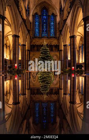 Richard Pike, der kirchliche Schreiner der Kathedrale von Salisbury, dekoriert die 32ft im Longleat Forest verbaute norwegische Fichte Weihnachten, da sie im Inneren des Kirchennetzes der Kathedrale installiert ist. Foto: Montag, 5. Dezember 2022. Stockfoto