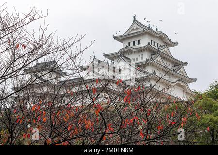 Himeji, Japan. Der Hauptturm (Tendu) der Burg White Egret oder Heron, eine Burganlage aus der Azuchi Momoyama-Zeit und ein Weltkulturerbe Stockfoto