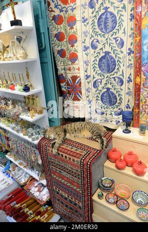 Eine Katze, die auf einem wunderschönen Teppich vor einem Teppichladen im christlichen Viertel in der Altstadt von Jerusalem, Israel, schläft. Stockfoto