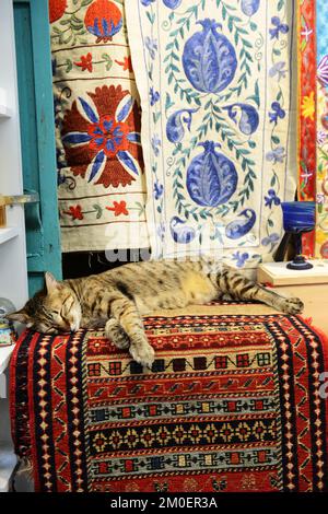 Eine Katze, die auf einem wunderschönen Teppich vor einem Teppichladen im christlichen Viertel in der Altstadt von Jerusalem, Israel, schläft. Stockfoto