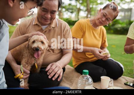 Familie, die mit einem kleinen Hund im Park spielt, während sie ein Picknick genießt Stockfoto