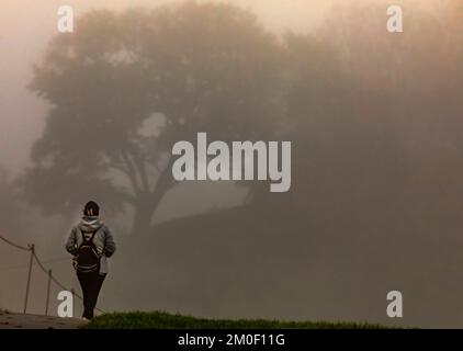 Alleinstehende Frau, die an einem nebeligen Morgen durch den Greenwich Park im Südosten Londons spaziert Stockfoto