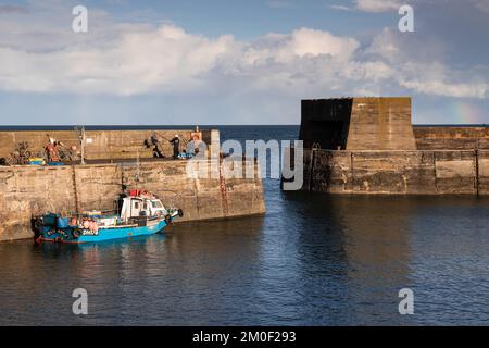 Fischerboot in Craster an der Küste von Northumberland, England Stockfoto