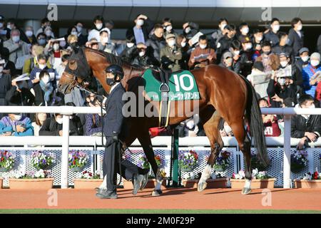 Hyogo, Japan. 3.. Dezember 2022. Valiant wird vor dem Challenge Cup auf der Hanshin Rennbahn in Hyogo, Japan, am 3. Dezember 2022 durch die Koppel geführt. Kredit: Eiichi Yamane/AFLO/Alamy Live News Stockfoto