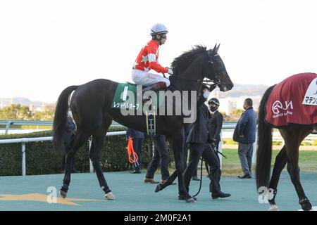 Hyogo, Japan. 3.. Dezember 2022. Red Belle Aube und Yuichi Fukunaga vor dem Challenge Cup auf der Hanshin Rennbahn in Hyogo, Japan, 3. Dezember 2022. Kredit: Eiichi Yamane/AFLO/Alamy Live News Stockfoto