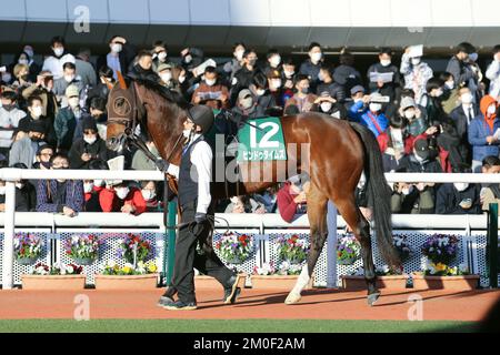 Hyogo, Japan. 3.. Dezember 2022. Die Hindu Times wird vor dem Challenge Cup auf der Hanshin Racecourse in Hyogo, Japan, am 3. Dezember 2022 durch die Koppel geführt. Kredit: Eiichi Yamane/AFLO/Alamy Live News Stockfoto
