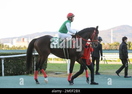 Hyogo, Japan. 3.. Dezember 2022. Echt und Katsuharu Tanaka vor dem Challenge Cup auf der Hanshin Rennbahn in Hyogo, Japan, 3. Dezember 2022. Kredit: Eiichi Yamane/AFLO/Alamy Live News Stockfoto