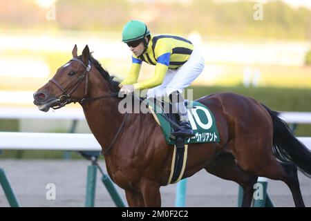 Hyogo, Japan. 3.. Dezember 2022. So Valiant (10) und Christophe Lemaire gewinnen den Challenge Cup auf der Hanshin Rennbahn in Hyogo, Japan, am 3. Dezember 2022. Kredit: Eiichi Yamane/AFLO/Alamy Live News Stockfoto