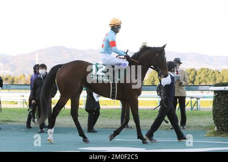 Hyogo, Japan. 3.. Dezember 2022. Die Hindu Times und Yutaka treten am 3. Dezember 2022 auf der Hanshin Rennbahn in Hyogo, Japan, vor dem Challenge Cup an. Kredit: Eiichi Yamane/AFLO/Alamy Live News Stockfoto