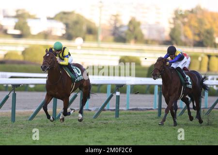 Hyogo, Japan. 3.. Dezember 2022. So Valiant (10) und Christophe Lemaire gewinnen den Challenge Cup auf der Hanshin Rennbahn in Hyogo, Japan, am 3. Dezember 2022. Kredit: Eiichi Yamane/AFLO/Alamy Live News Stockfoto