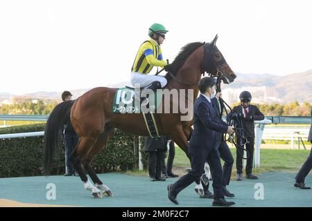 Hyogo, Japan. 3.. Dezember 2022. So Valiant und Christophe Lemaire vor dem Challenge Cup auf der Hanshin Rennbahn in Hyogo, Japan, 3. Dezember 2022. Kredit: Eiichi Yamane/AFLO/Alamy Live News Stockfoto
