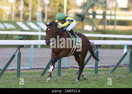 Hyogo, Japan. 3.. Dezember 2022. So Valiant (10) und Christophe Lemaire gewinnen den Challenge Cup auf der Hanshin Rennbahn in Hyogo, Japan, am 3. Dezember 2022. Kredit: Eiichi Yamane/AFLO/Alamy Live News Stockfoto