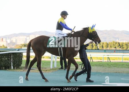 Hyogo, Japan. 3.. Dezember 2022. Ruby Casablanca und Yuga Kawada vor dem Challenge Cup auf der Hanshin Rennbahn in Hyogo, Japan, 3. Dezember 2022. Kredit: Eiichi Yamane/AFLO/Alamy Live News Stockfoto