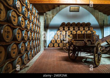 Eichenfässer mit Marsala-Wein im Cantine Pellegrino, einem historischen Weingut aus Sizilien. Italien. Stockfoto