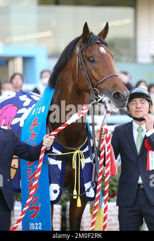 Hyogo, Japan. 3.. Dezember 2022. So Valiant gewann den Challenge Cup auf der Hanshin Rennbahn in Hyogo, Japan, am 3. Dezember 2022. Kredit: Eiichi Yamane/AFLO/Alamy Live News Stockfoto