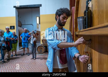 Weinprobe im Cantine Pellegrino mit Eichenfässern voller Marsala-Wein aus Sizilien. Italien. Stockfoto