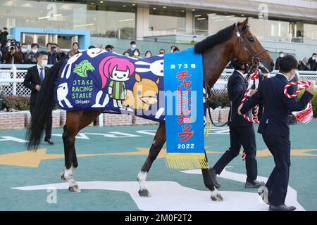 Hyogo, Japan. 3.. Dezember 2022. So Valiant gewann den Challenge Cup auf der Hanshin Rennbahn in Hyogo, Japan, am 3. Dezember 2022. Kredit: Eiichi Yamane/AFLO/Alamy Live News Stockfoto