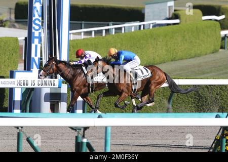 Hyogo, Japan. 3.. Dezember 2022. Peptid Hudson und Yuga Kawada gewinnen Hanshin 2R auf der Hanshin Rennbahn in Hyogo, Japan, am 3. Dezember 2022. Kredit: Eiichi Yamane/AFLO/Alamy Live News Stockfoto