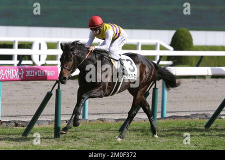 Hyogo, Japan. 3.. Dezember 2022. Nishino Best One und Yusuke Fujioka gewinnen Hanshin 4R auf der Hanshin Rennbahn in Hyogo, Japan, am 3. Dezember 2022. Kredit: Eiichi Yamane/AFLO/Alamy Live News Stockfoto