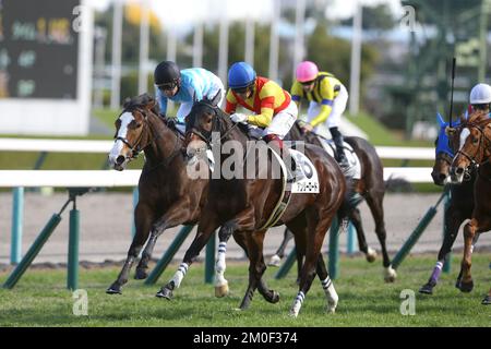 Hyogo, Japan. 3.. Dezember 2022. Anri Road und Yuichi Fukunaga gewinnen Hanshin 3R auf der Hanshin Rennbahn in Hyogo, Japan, am 3. Dezember 2022. Kredit: Eiichi Yamane/AFLO/Alamy Live News Stockfoto