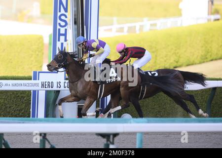 Hyogo, Japan. 3.. Dezember 2022. Lien Cool und Yasunari Iwata gewinnen die Myokensan-Einsätze auf der Hanshin Rennbahn in Hyogo, Japan, am 3. Dezember 2022. Kredit: Eiichi Yamane/AFLO/Alamy Live News Stockfoto