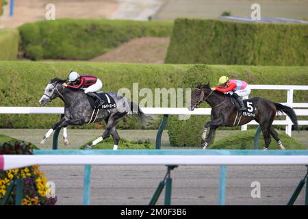 Hyogo, Japan. 3.. Dezember 2022. Silver Ace und Kohei Matsuyama gewinnen den Sakaiminato Tokubetsu auf der Hanshin Rennbahn in Hyogo, Japan, am 3. Dezember 2022. Kredit: Eiichi Yamane/AFLO/Alamy Live News Stockfoto