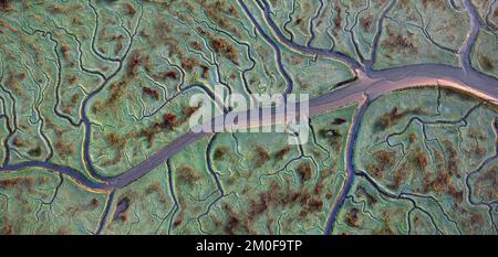 Land van Saeftinghe, Westerschelde, Aerial View, Belgien, Antwerpen, Land van Saeftinghe Stockfoto